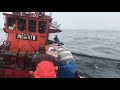 Pesca artesanal de magru en mar del plata