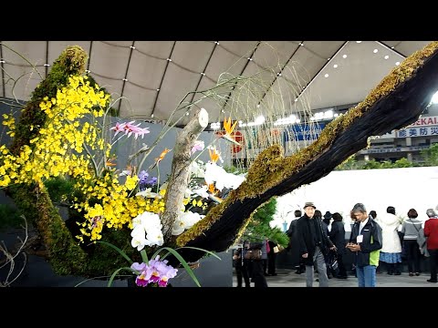 花の秘傳 花の秘伝 華道 池坊 小原流 草月流 未生流 世界らん展2019 日本いけばな三大流派(池坊・小原流・草月流