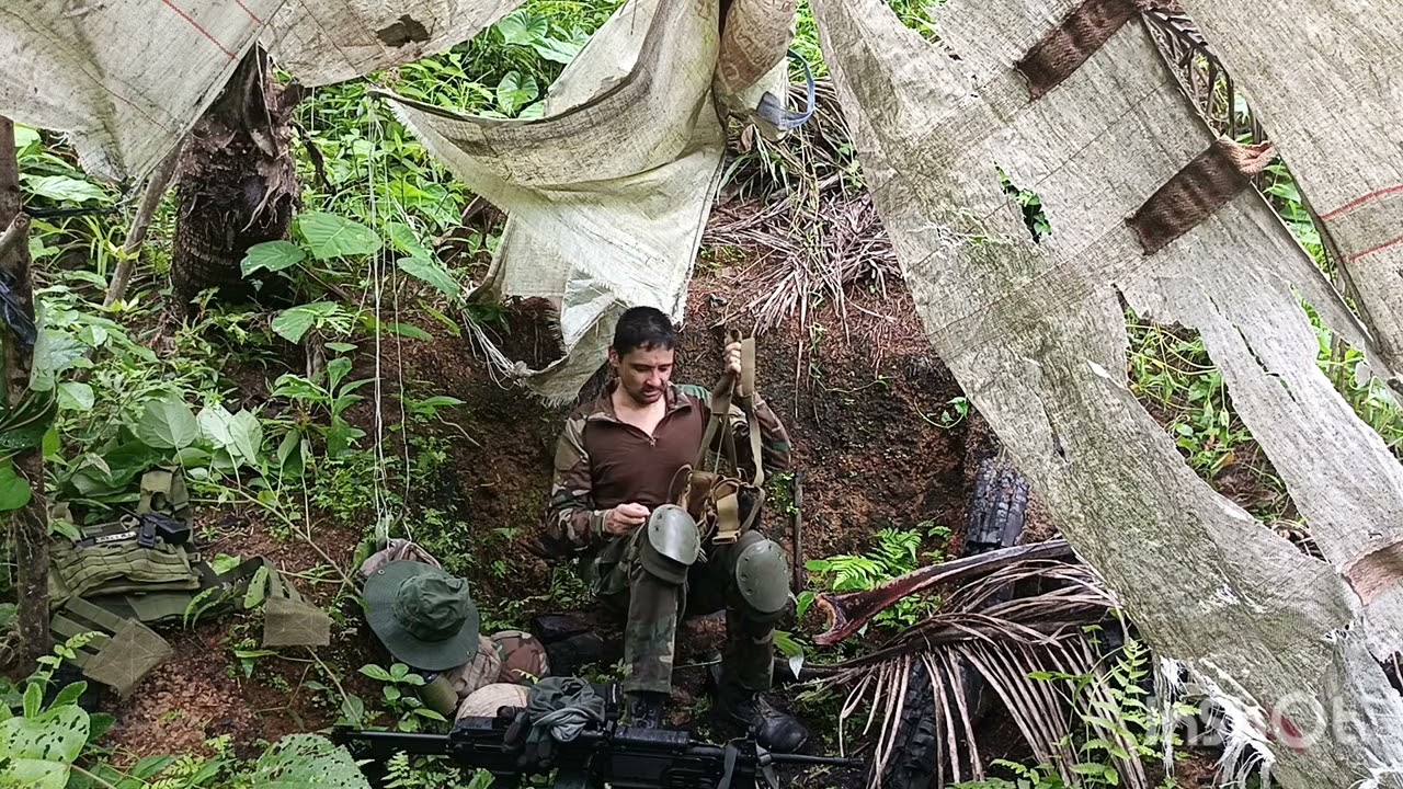 Hunting the Predator in the jungle 