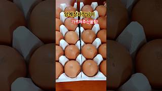 계란보관법 #살림꿀팁#mk일상