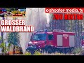 🔥  Großer Waldbrand auf 700 Hektar  🔥 | ➕ Löschflugzeug aus Polen  🇵🇱 | 🚒  Großeinsatz