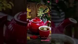 Beautiful Good Morning........whatsapp Status.... 720P Hd