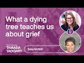 TELUS Talks | What a dying tree teaches us about grief: Tessa McWatt