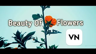 SINEMATIK KEINDAHAN BUNGA || CINEMATIC BEAUTY OF FLOWERS || Cinematic 1 Menit