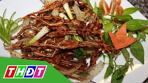 Top 13 món vũ nữ chân dài đặc sản