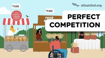 Introduction to Perfect Competition | Economics Explained