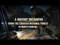 Bigfoot Ran Across The Road In Front Of My Truck | Croatan National Forest (North Carolina) #nature