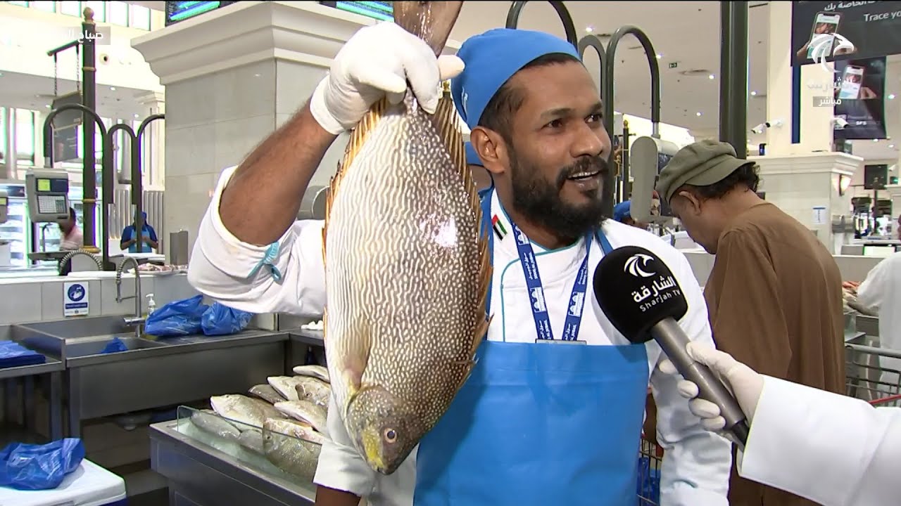 أسعار وأنواع الأسماك في سوق الجبيل | برنامج صباح الشارقة