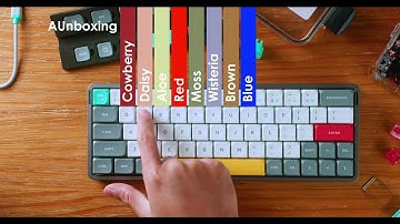 NuPhy Air60 V2 | Switch Test | ASMR @nuphystudio