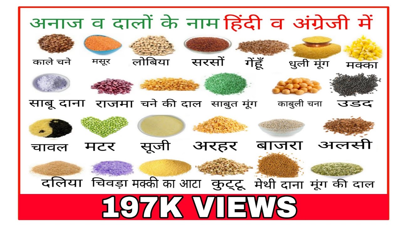 food grains essay in hindi
