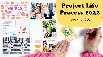 Project Life Process 2022- Week 28