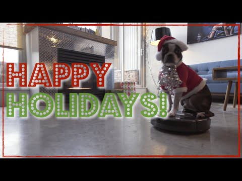 Dog on a Roomba - Holiday Edition!!