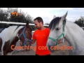 Cursos de Coaching con caballos -  María López Mayol-Equynos