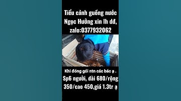 cơ sở tiểu cảnh guồng nước đẹp xuất sắc, giá thấp nhất thị trường là đây Kính mời các bác lựa chọn ạ