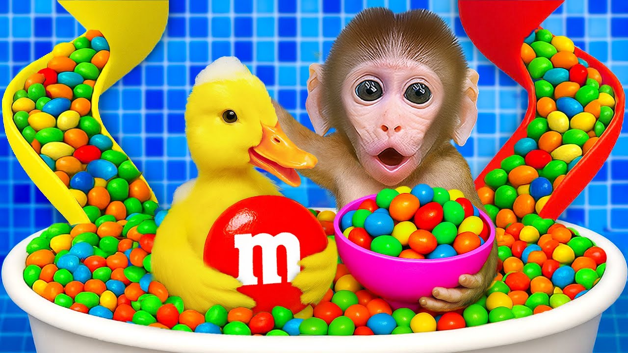 Macaco Binbin Toma um Banho de Doces Arco-íris com o Pato e Cria sua Receita de Gelatina de Ursinho