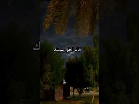 قال أحدهما ياربي إن هذا ظلمني فخذ لي حقي منه قال بماذا الشيخ الشعراوي 