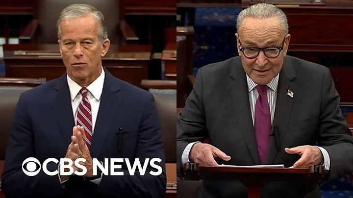 Thune and Schumer address government shutdown on Day 21
