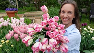 How to Harvest, Condition, and Store Tulips // Dry Storing Tulip Flowers with Visuals // Northlawn