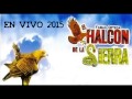 EL HALCON DE LA SIERRA_EN VIVO DESDE RUMOR’S NAVOJOA SONORA 2017