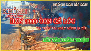 KHỦNG KHIẾP HƠN 3000 CON CÁ LÓC NƯỚNG MÍA VÍA THẦN TÀI MÙNG 10 TẾT LỜI VÀI TRĂM TRIỆU PHỐ CÁ LÓC
