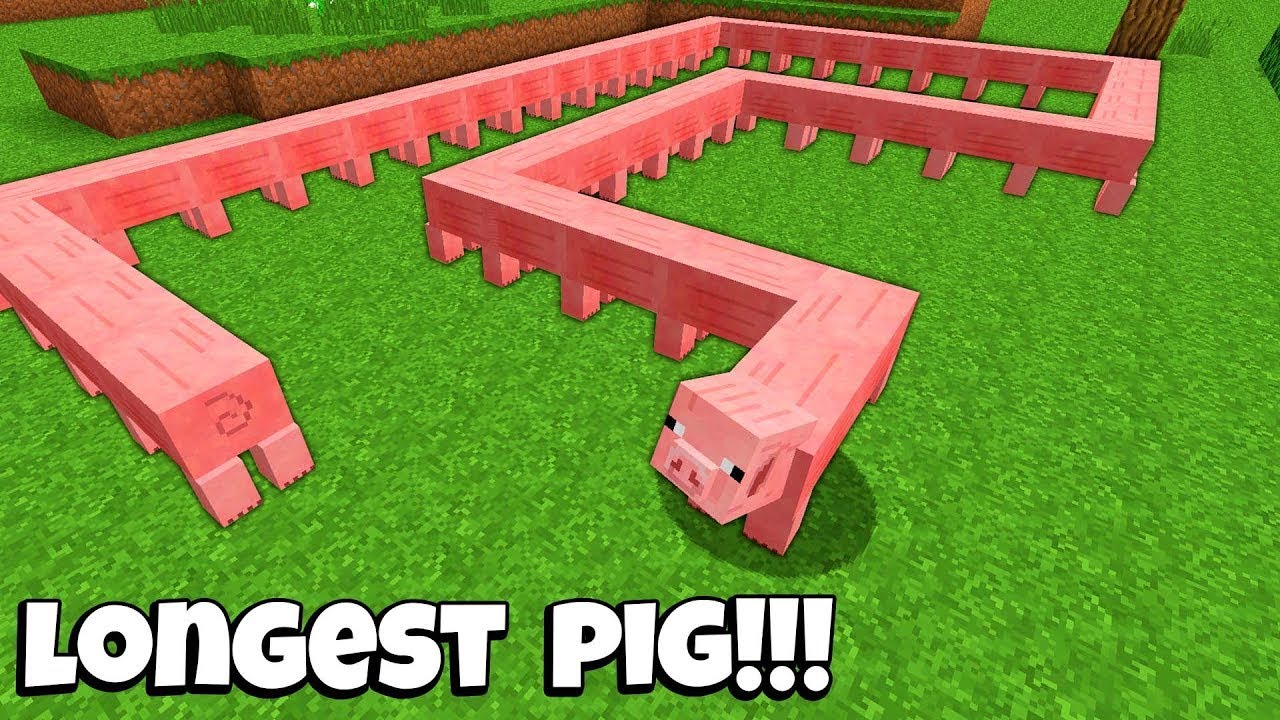 How to SPAWN this LONGEST PIG in Minecraft ？ STRANGEST CURSED PIG