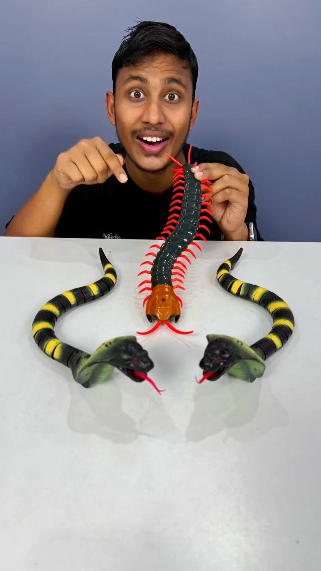 Yah Deko RC King Kobra Snake