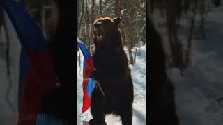 Медведь держить прапор
