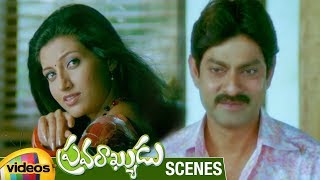 Hamsa Nandini Falls For Jagapathi Babu Pravarakyudu Movie Scenes Jagapathi Babu Priyamani