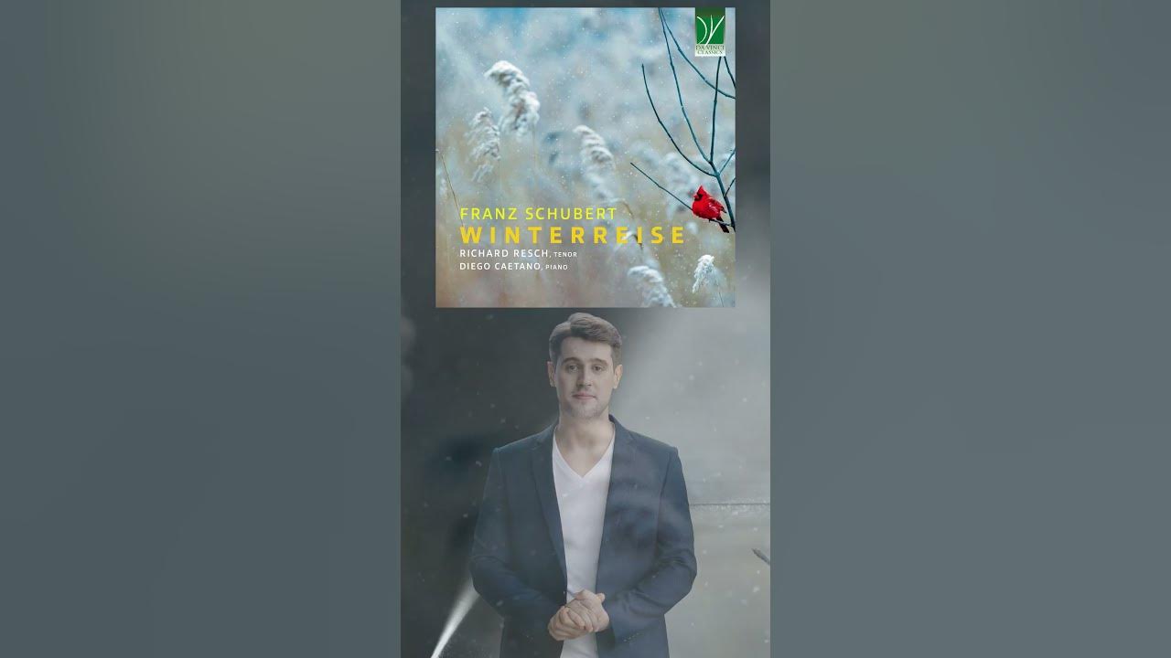 Franz Schubert: Winterreise, D. 911 [Classical Music, Piano Music] #shorts