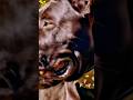 Wha you don’t know about the canecorso #canecorso #animals #guarddogs