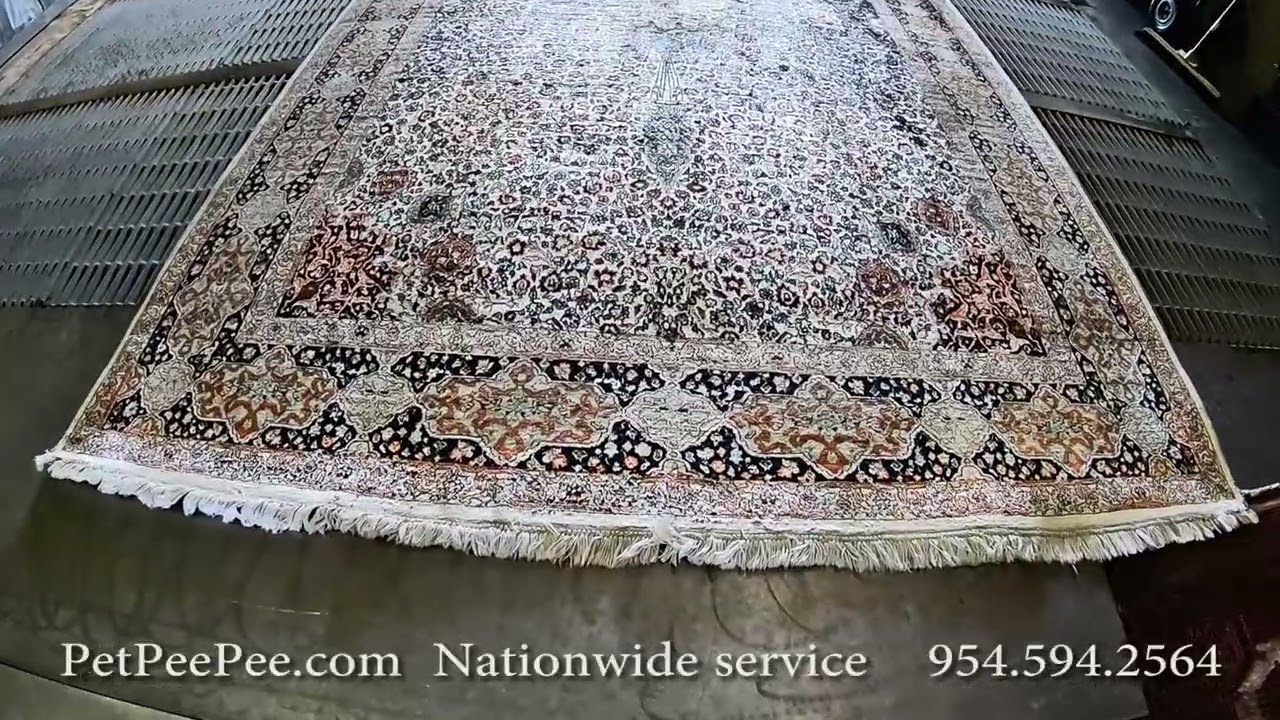 Silk Carpet Cleaning dog Pee Stains & Odor