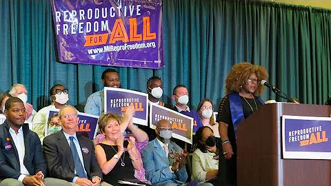 Michiganders will vote on abortion rights this November | State Supreme Court issues order