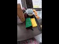 egg sandwiches Live Now 2026-05-25 06:51:44