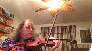 Blueroseviolin Can’t Fight the Moonlight