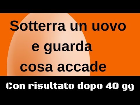 Sotterra un uovo e guarda cosa accade con risultato dopo 40 gg