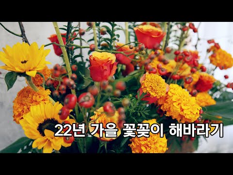 배정구의 꽃수다 유튜브 분석 - 유하