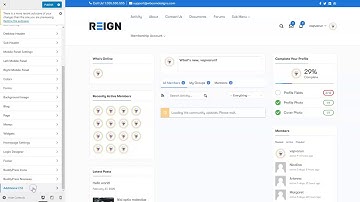 How to Add Additional CSS? Reign BuddyPress Theme