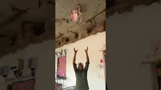 Flying Doggie! Aise kaun khelta hai? My dog thinks he can fly! Pure Joy with my little buddy!