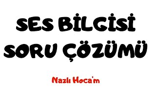 Ses Bi̇lgi̇si̇ Soru Çözümü