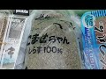 【浜名湖釣り】