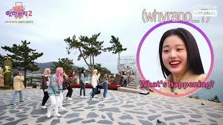 izone new habit: imitating wonyoung