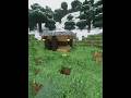 Minecraft Cozy Starter House Tutorial 😍 #minecraft #shorts