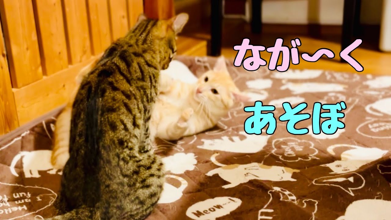 なが〜く　あそぼ