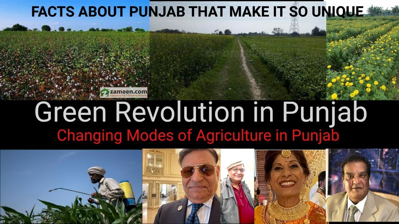What Is Green Revolution Effects