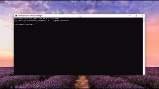 How to Export List of Running and Stopped Services in Windows [Tutorial]