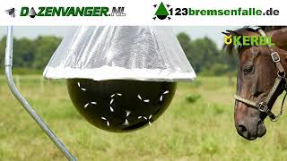 Werking Dazenval, Wirkung Bremsenfalle, Horseflytrap How its works Flytrap Horsefly & deerfly