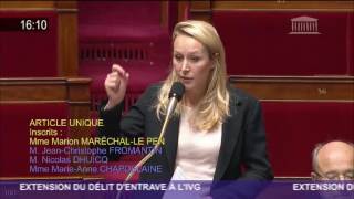 Intervention de Marion Maréchal-Le Pen contre l'extension du délit d'entrave à l'IVG