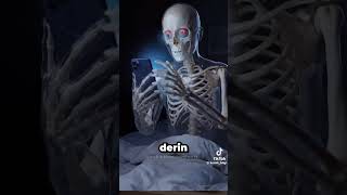 Gece telefonla oynarsan n3 olur?