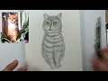 كيفية رسم قطة خطوة بخطوة للمبتدئين  - Drawing cat