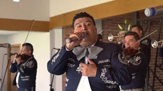 Miniatura de vídeo de "MARIACHI NUEVO TECALITLÁN / Serenata La Mujer Más Especial PERFUME DE GARDENIAS"